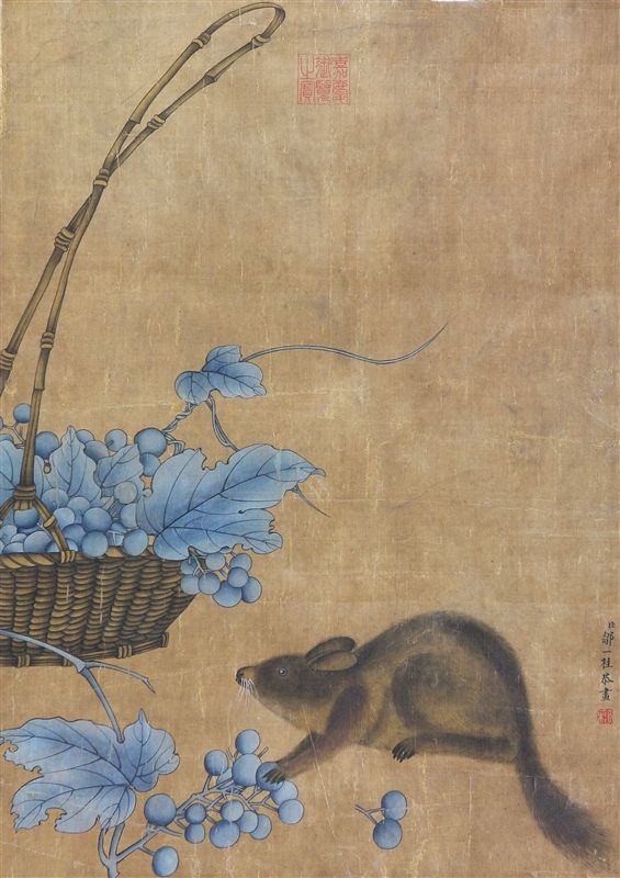 硕鼠安卓版硕鼠破解版吾爱破解-第2张图片-太平洋在线下载