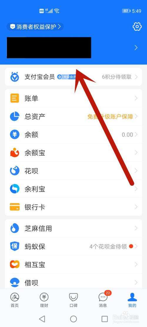 手机支付宝电脑版电脑版支付宝登录入口-第2张图片-太平洋在线下载