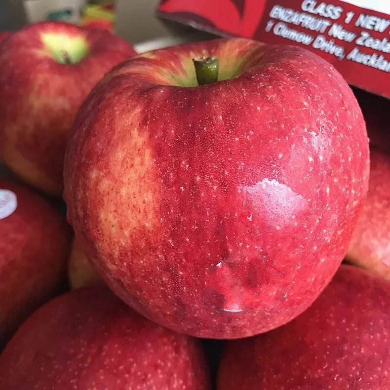 水果苹果现货新闻苹果期货基本面分析