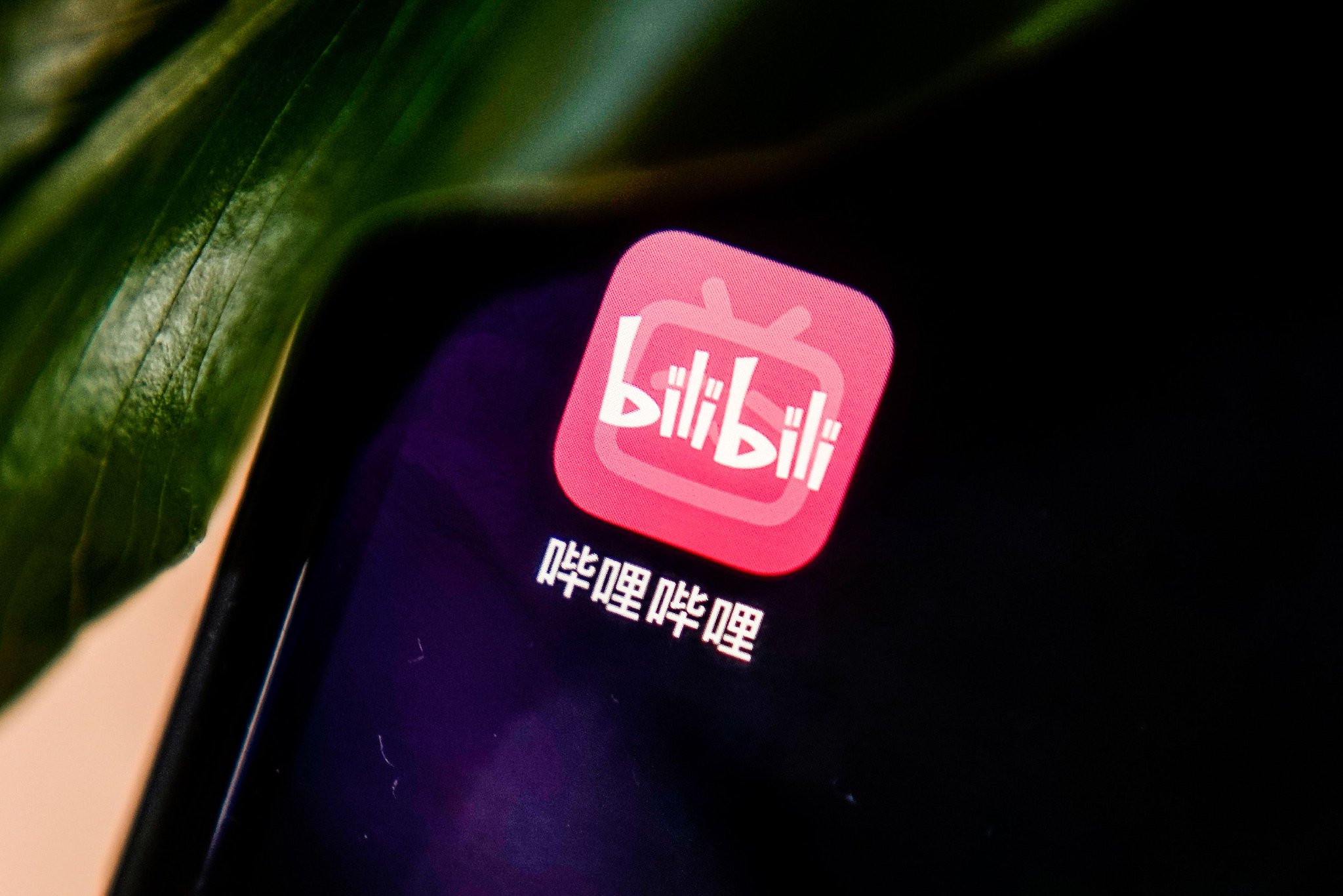 b站客户端中心b站视频怎么下载到电脑上