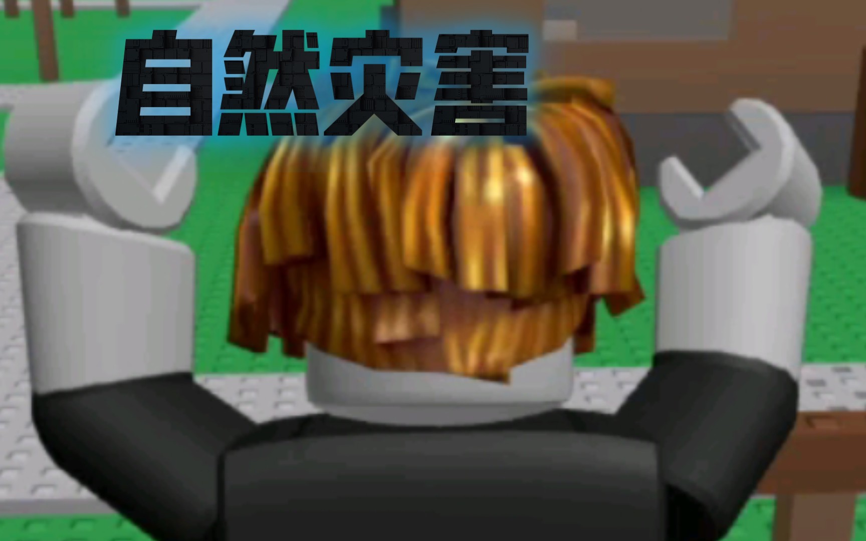 手机版自然灾害模拟器roblox自然灾害模拟器-第2张图片-太平洋在线下载