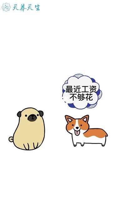 够花有安卓版够钱花贷款平台-第2张图片-太平洋在线下载