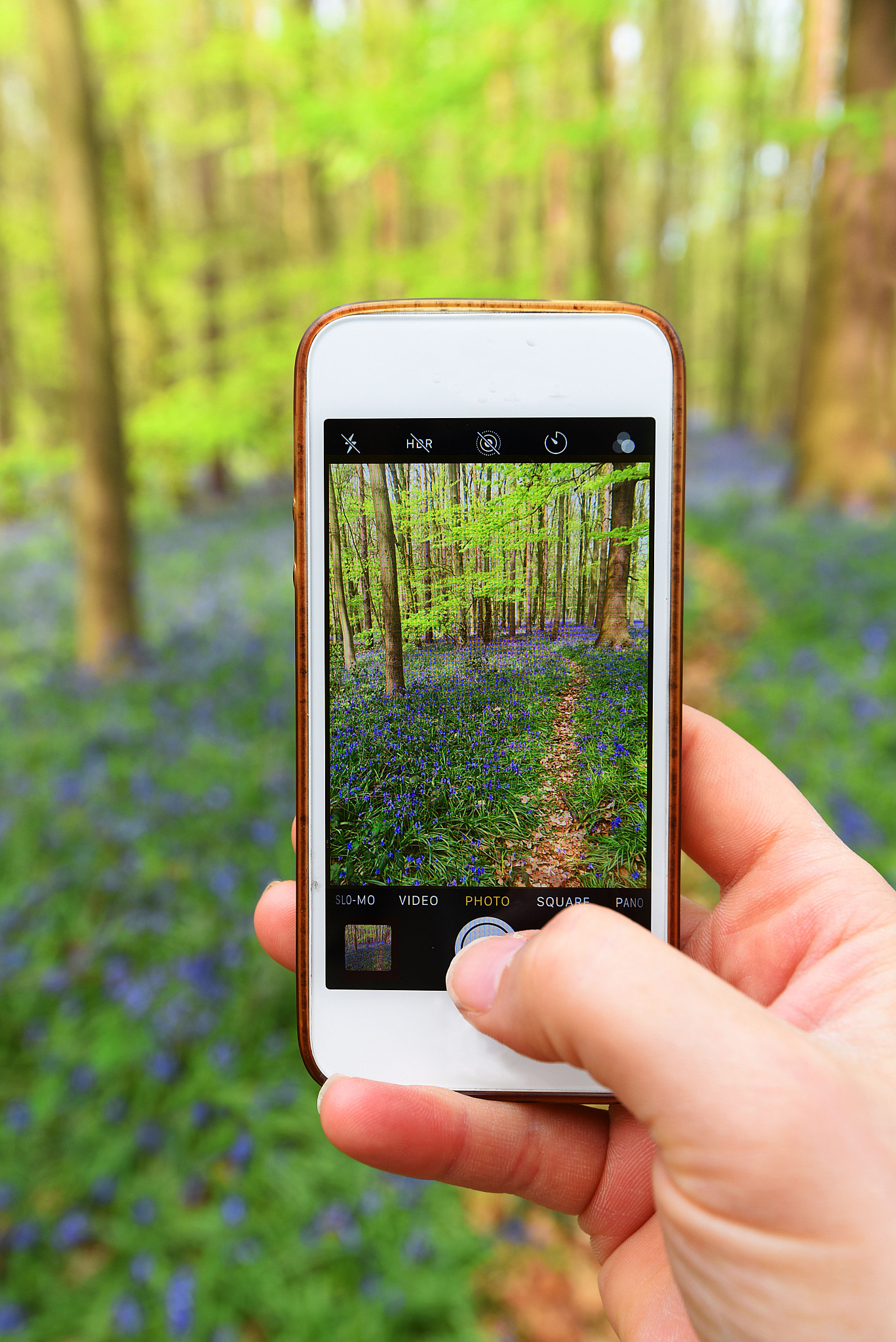 摄影苹果版手机助理(摄影苹果版手机助理软件)-第14张图片-有道翻译官网 摄影苹果版手机助理(摄影苹果版手机助理软件)-第14张图片-有道翻译官网