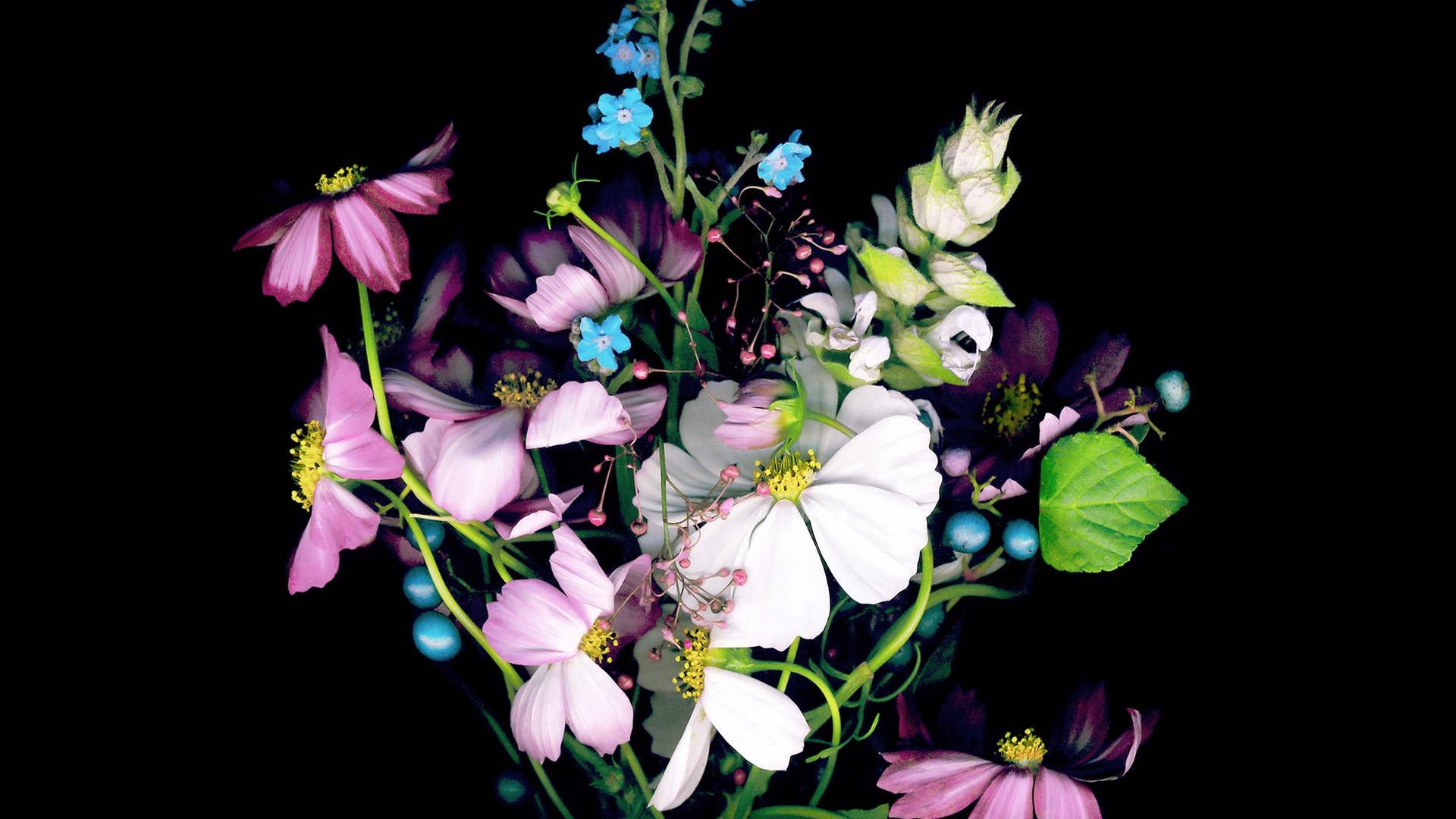 苹果版普通壁纸高清(苹果版普通壁纸高清图片)-第5张图片-有道翻译官网 苹果版普通壁纸高清(苹果版普通壁纸高清图片)-第5张图片-有道翻译官网