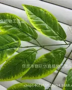 魔法树枝手机版苹果(魔法哈奇手机版官方最新版)-第33张图片-有道翻译官网 魔法树枝手机版苹果(魔法哈奇手机版官方最新版)-第33张图片-有道翻译官网